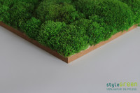 Produktbild: 
