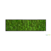 Produktbild: 