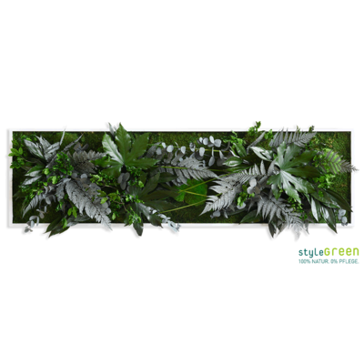 Produktbild: Pflanzenbild im Dschungeldesign 140x40