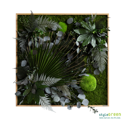 Produktbild: Pflanzenbild im Dschungeldesign 80x80