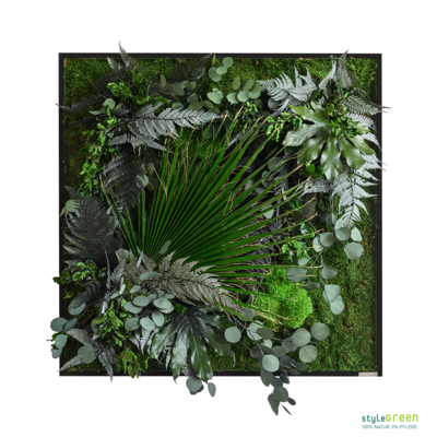 Produktbild: Pflanzenbild im Dschungeldesign 80x80