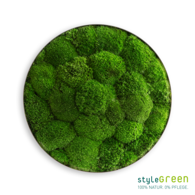 Produktbild: Kugelmoos Ellipsoid 34