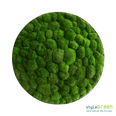 Produktbild: Kugelmoos Ellipsoid 80