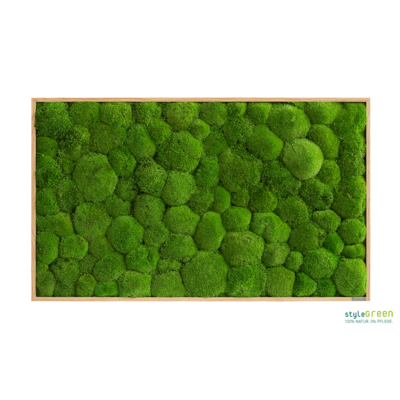 Produktbild: Kugelmoos 100x60