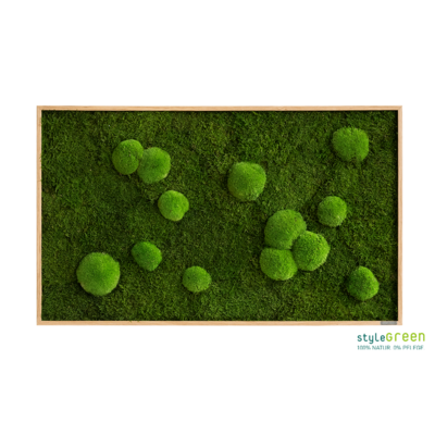 Produktbild: Wald-und Kugelmoos 100x60
