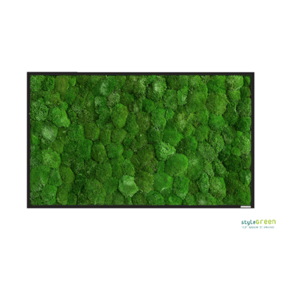 Produktbild: Kugelmoos 100x60