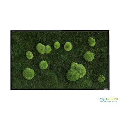 Produktbild: Wald-und Kugelmoos 100x60