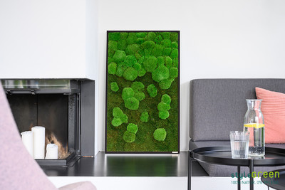 Produktbild: Wald-und Kugelmoos 100x60 Verlauf