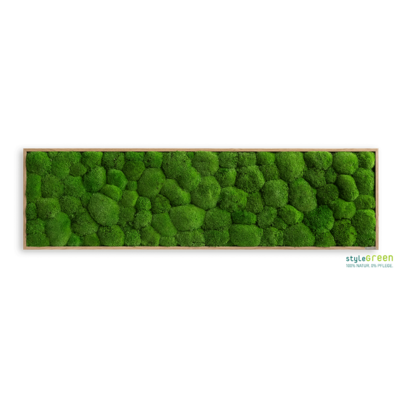 Produktbild: Kugelmoos 140x40