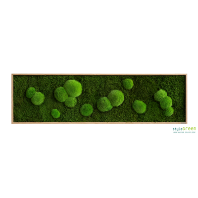 Produktbild: Wald-und Kugelmoos 140x40