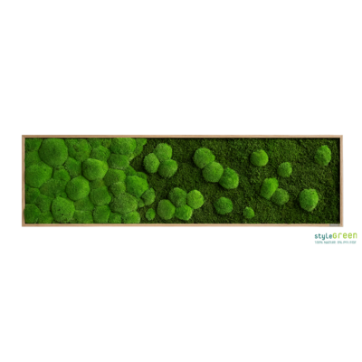 Produktbild: Wald-und Kugelmoos 140x40 Verlauf