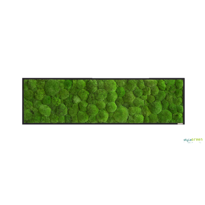 Produktbild: Kugelmoos 140x40