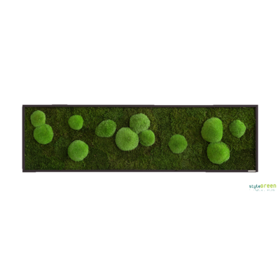 Produktbild: Wald-und Kugelmoos 140x40