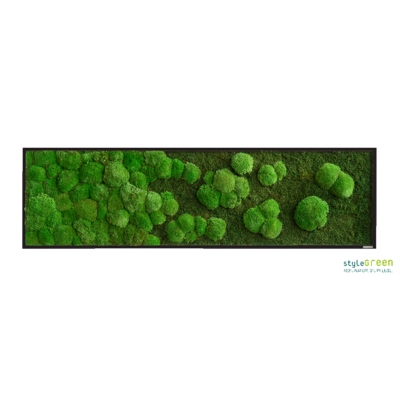 Produktbild: Wald-und Kugelmoos 140x40 Verlauf