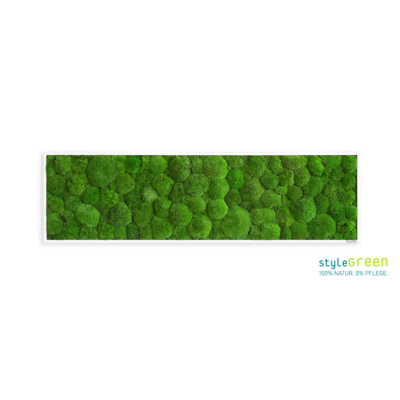 Produktbild: Kugelmoos 140x40