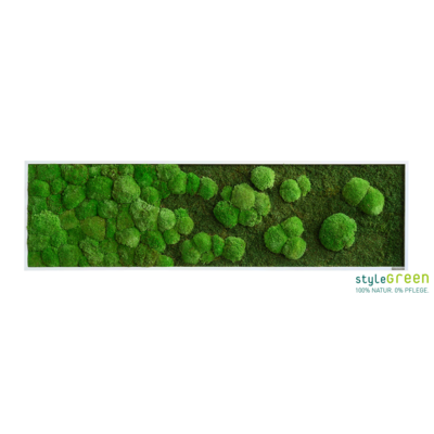 Produktbild: Wald-und Kugelmoos 140x40 Verlauf