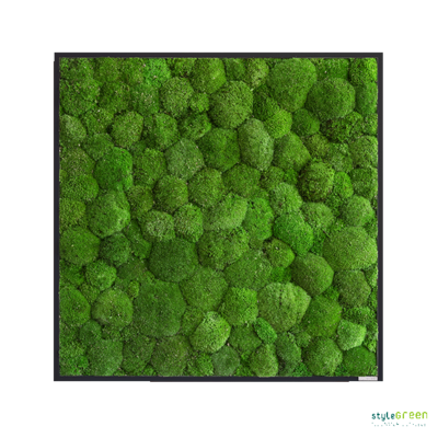 Produktbild: Kugelmoos 80x80