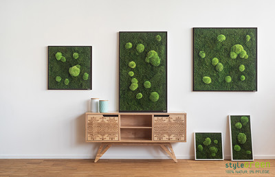Produktbild: Wald-und Kugelmoos 80x80