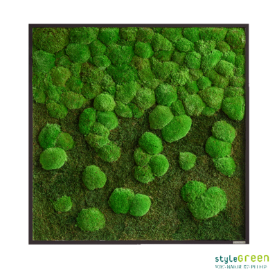 Produktbild: Wald-und Kugelmoos 80x80 Verlauf