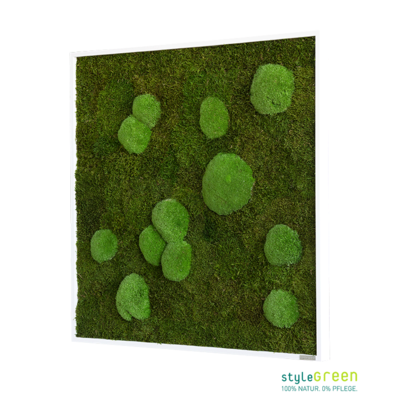 Produktbild: Wald-und Kugelmoos 80x80