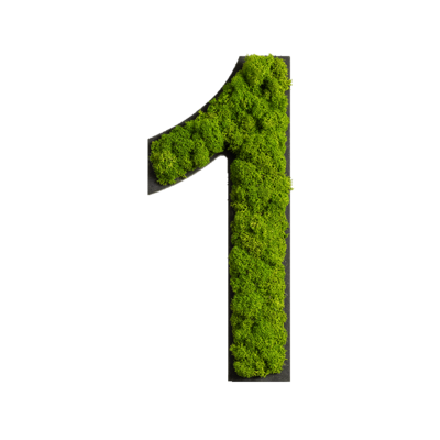 Produktbild: Zahl 4 Islandmoos