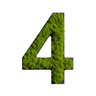Produktbild: Zahl 7 Islandmoos