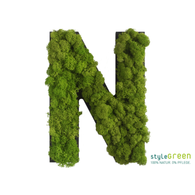 Produktbild: Buchstabe N Islandmoos