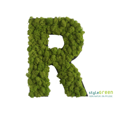 Produktbild: Buchstabe R Islandmoos