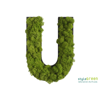Produktbild: Buchstabe U Islandmoos