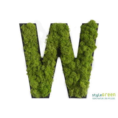 Produktbild: Buchstabe W Islandmoos