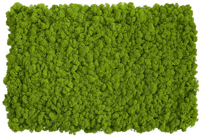 Produktbild: Islandmoos Flex Elemente 100x60 (2 Matten)